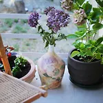 Garden Luxury Πανσιόν 4*