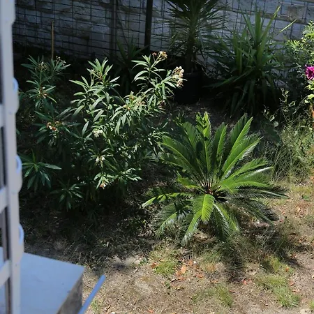 Garden Luxury Гостевой дом