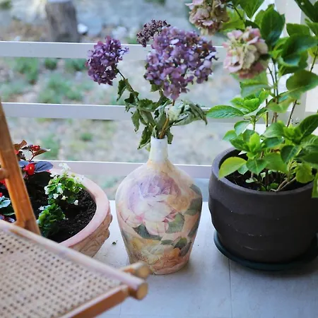 Garden Luxury Гостевой дом 4*