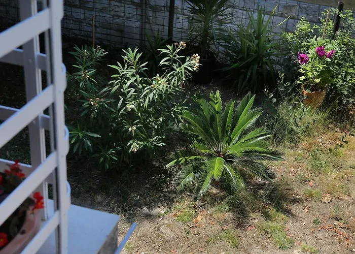Garden Luxury 게스트하우스